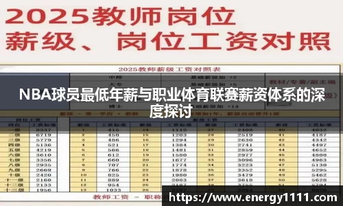 NBA球员最低年薪与职业体育联赛薪资体系的深度探讨